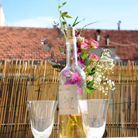 Les Gerardines By Enjoynice, 3-room With Airco And Balcony Lejlighed Nice